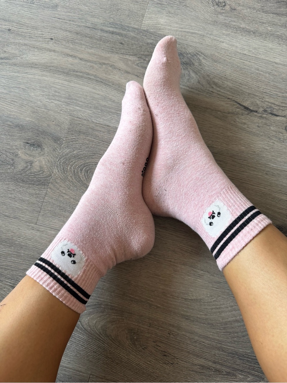 Dog Print Mini Crew Socks
